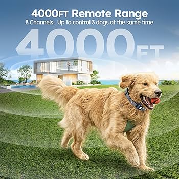 Amazon.com: Dog Shock Collar 4000FT with Light for Night